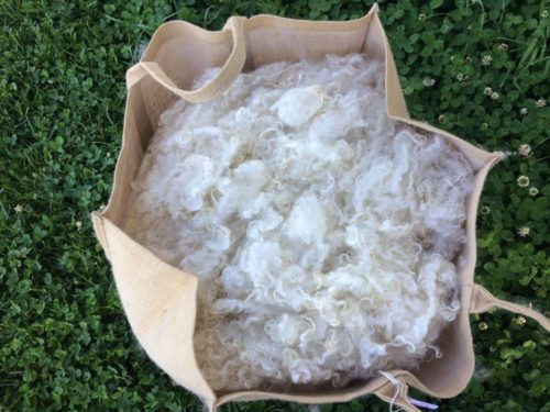 Collier De Poitrine En Mohair 100% Fait Main Pour Cheval